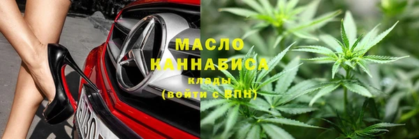 гидра Медногорск