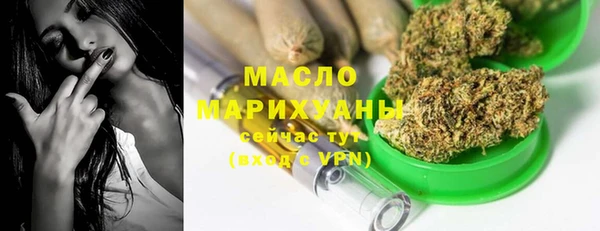 гидра Медногорск