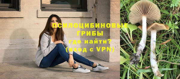 ECSTASY Михайловск