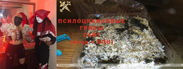 гидра Медногорск