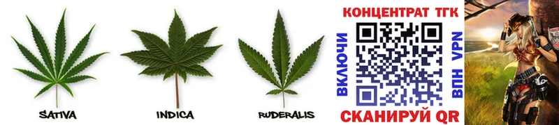ТГК THC oil  Купить где  Аргун 